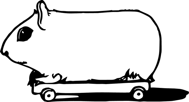 Hamster illustration