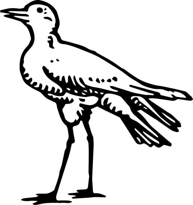 Decorative illustration